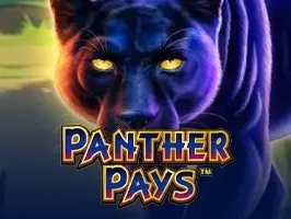 Panther Pays game thumbnail